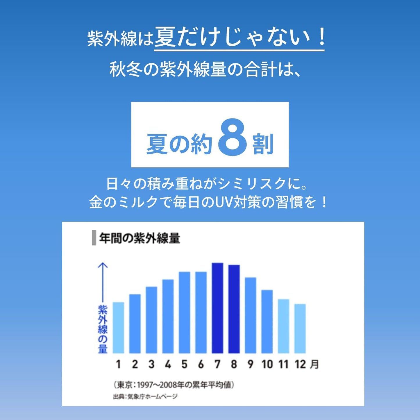 Anessa Perfect UV Skin Care Milk (90g)