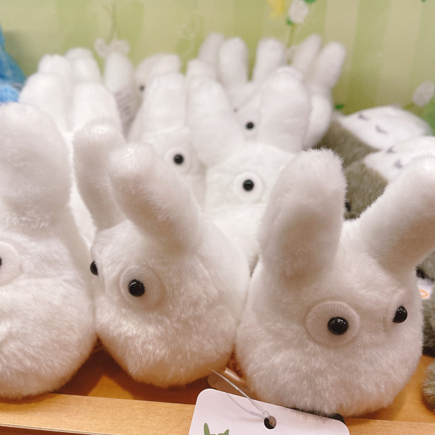 لعبة توتورو المحشوة الصغيرة الحجم من شخصيات جيبلي