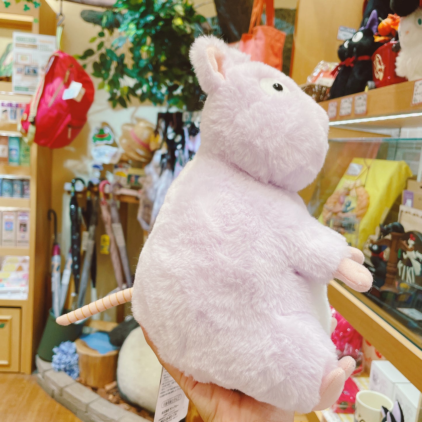 لعبة بونيزومي المحشوة من شخصيات جيبلي (مقاس متوسط)