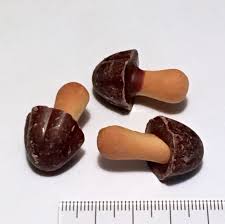 Meiji Kinoko no Yama Chocolate 74g - Yorozuya Store