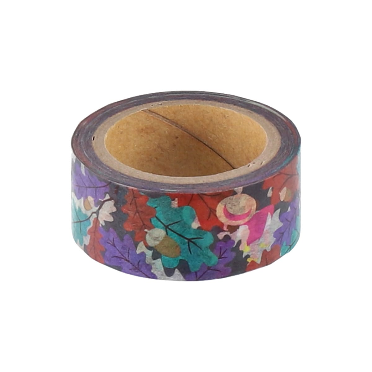 GBL My Neighbor Totoro Masking Tape Oikakekko 0.7in x 7.7yd