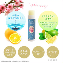 قم بتحميل الصورة في عارض الصور، Kirby Lip Cream &amp; Lip Stand Set (Citrus Mint Flavor) - Horoscope Series - Aries