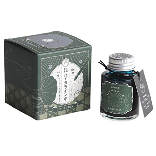 Teranishi Chemical Industries Guitar Taisho Romance Fountain Pen Ink 40ml
