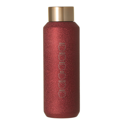 Starbucks Holiday 2026 Glitter Stainless Steel Bottle with Gift Box 16 oz