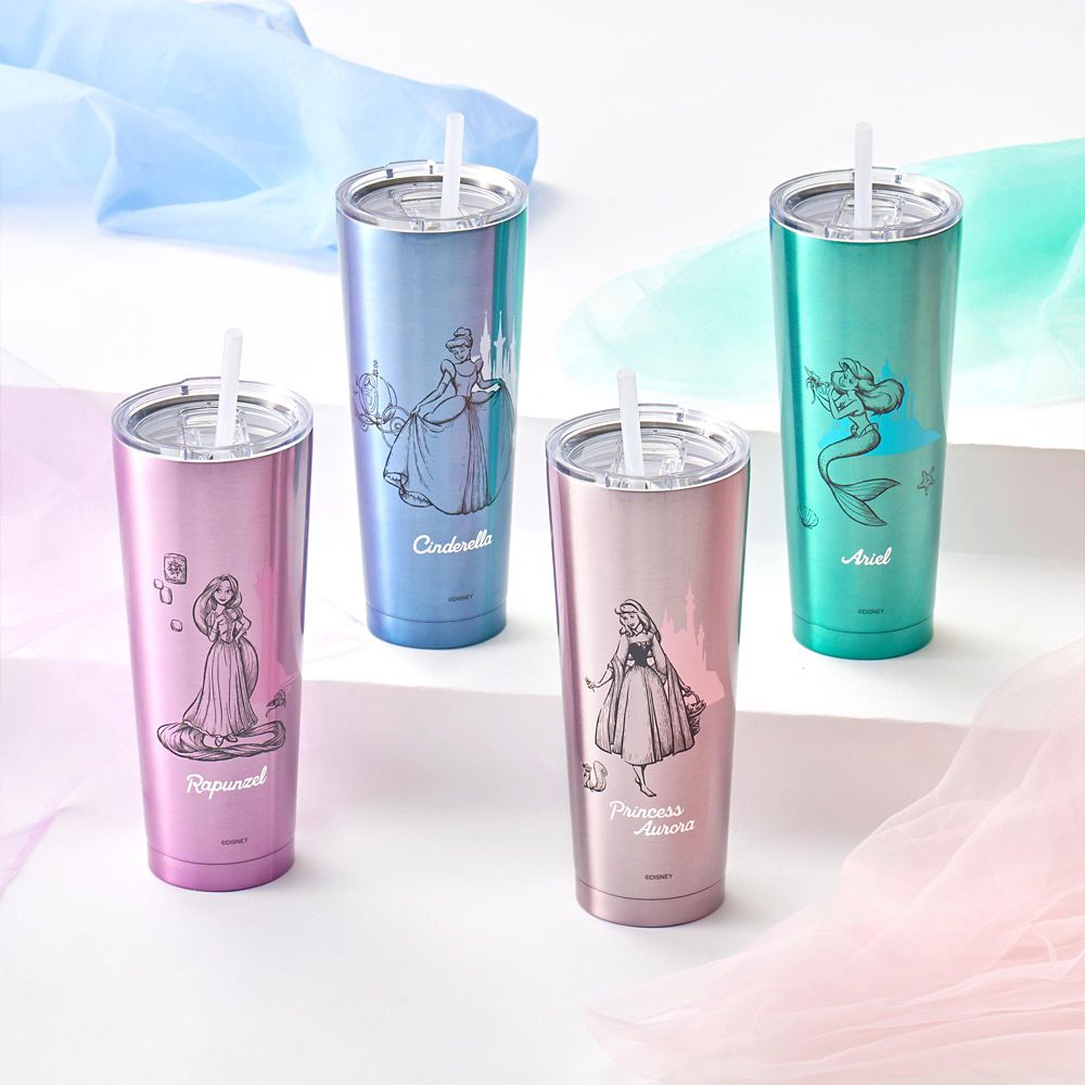 Cinderella Stainless Steel Tumbler with Straw Princess Dream Drinkware