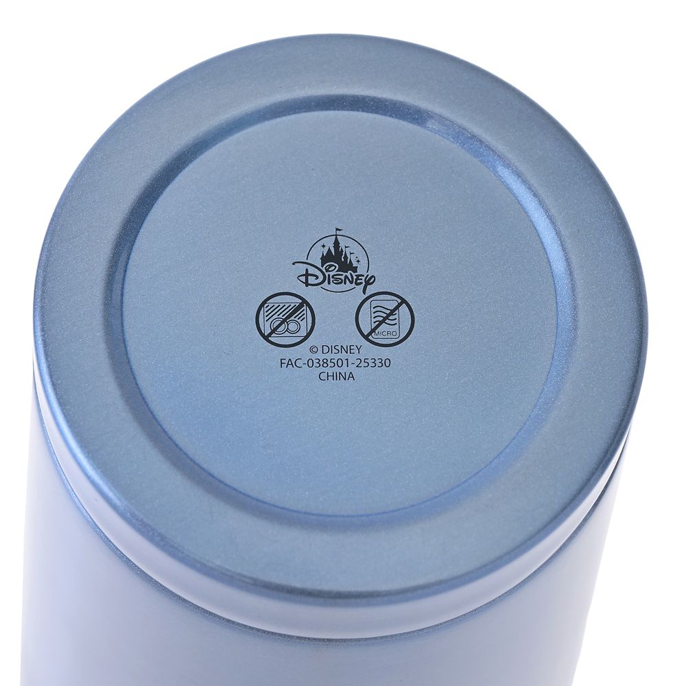 Cinderella Stainless Steel Tumbler with Straw Princess Dream Drinkware