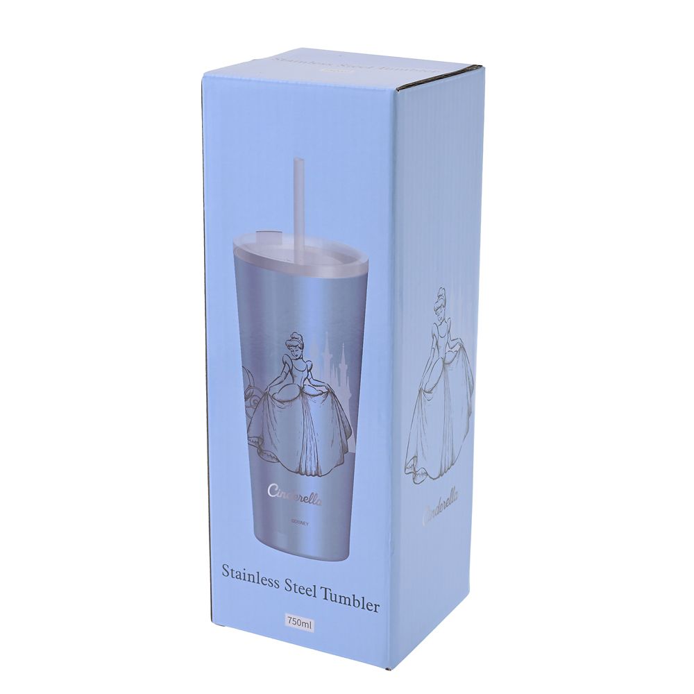 Cinderella Stainless Steel Tumbler with Straw Princess Dream Drinkware