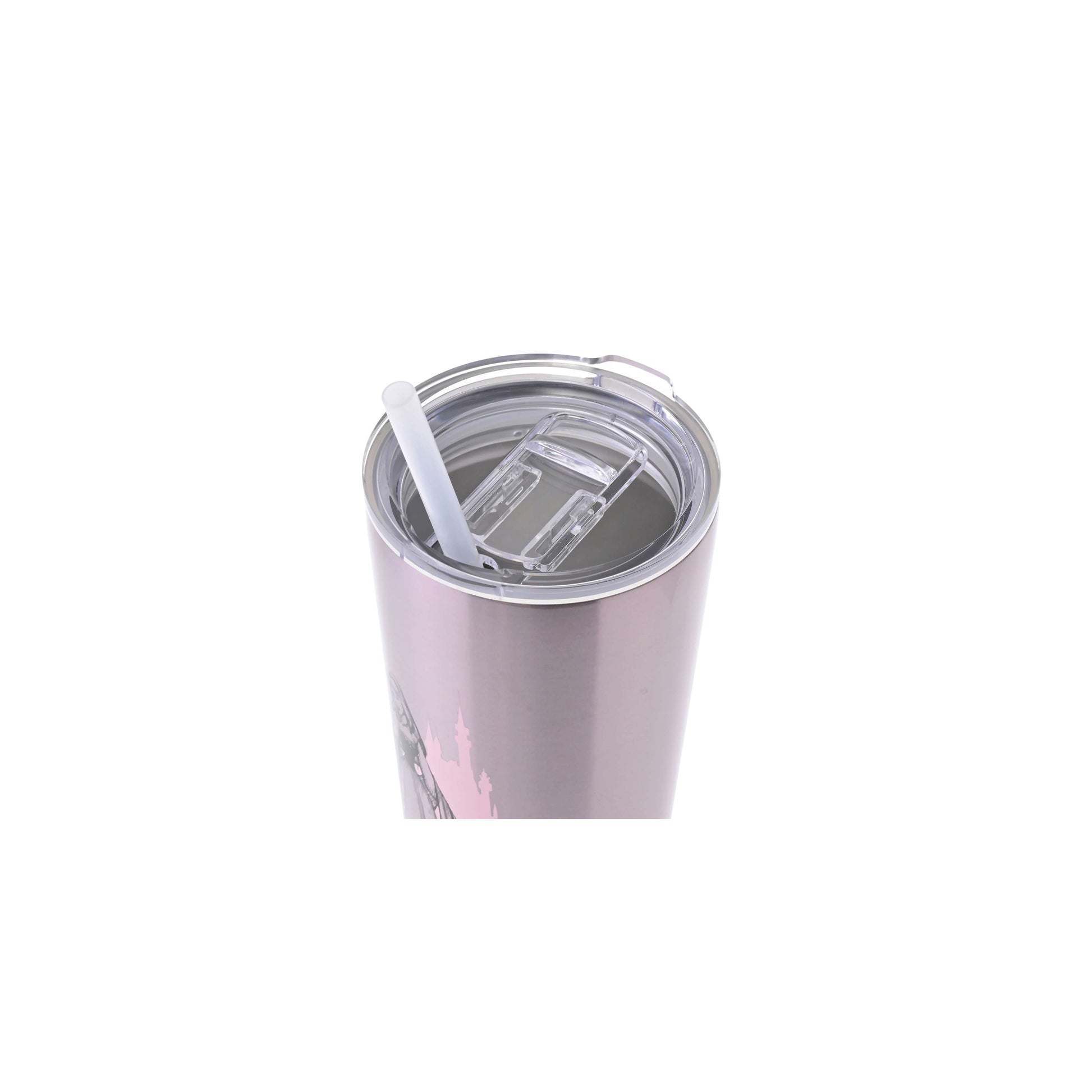 Princess Aurora Stainless Steel Tumbler with Straw 750ml