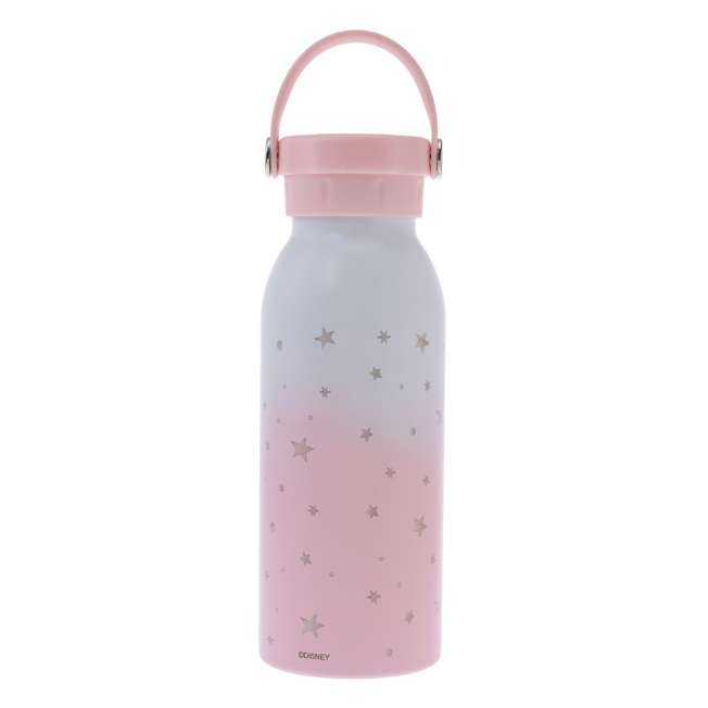 Disney Chip & Dale Good Sleep Stainless Steel Water Bottle