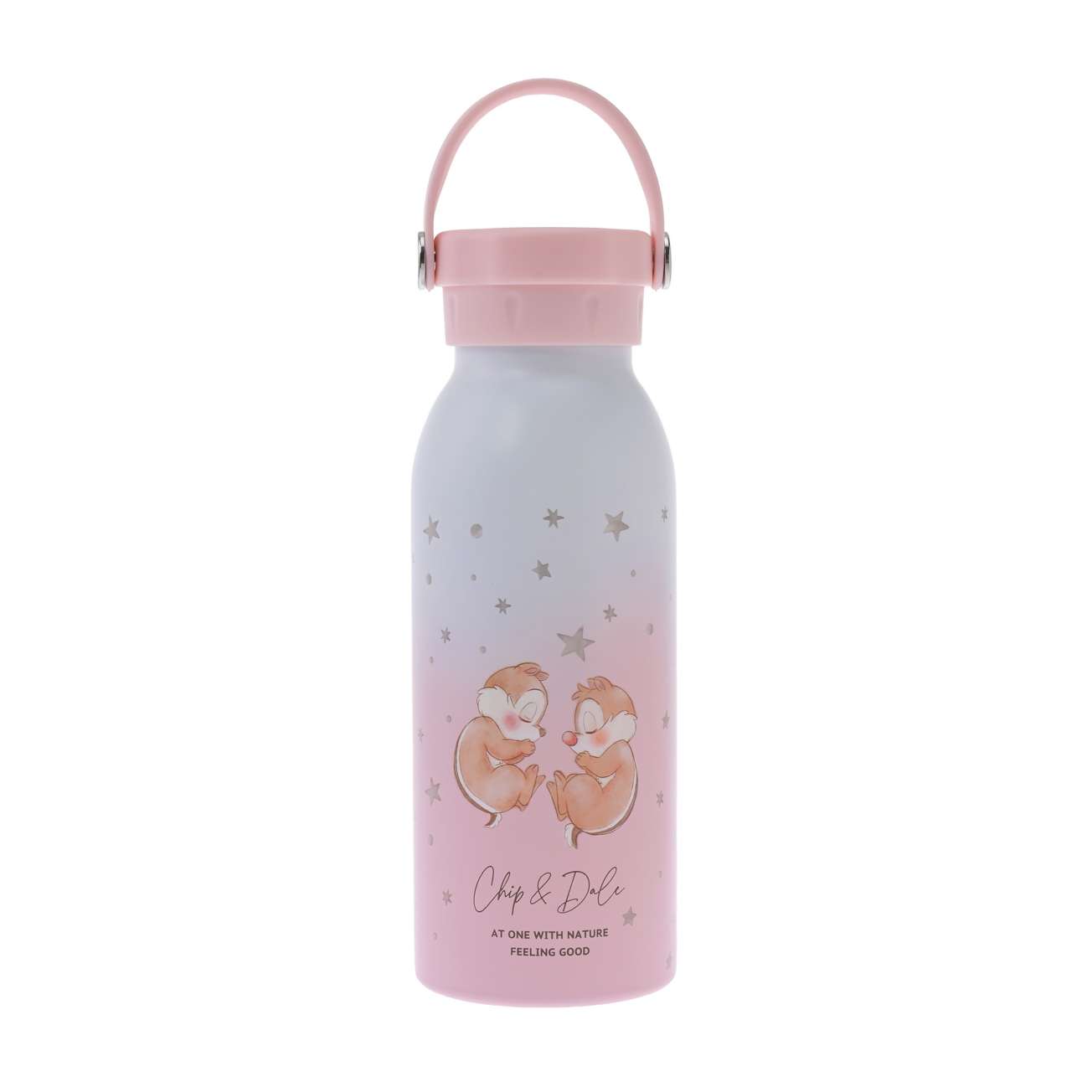 Disney Chip & Dale Good Sleep Stainless Steel Water Bottle
