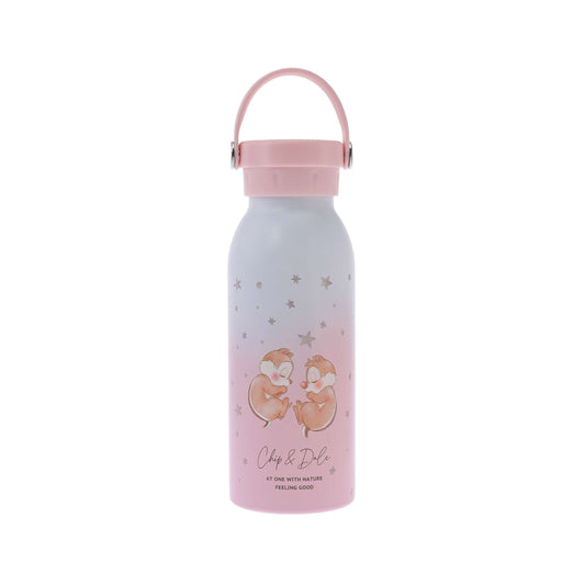 Disney Chip & Dale Good Sleep Stainless Steel Water Bottle