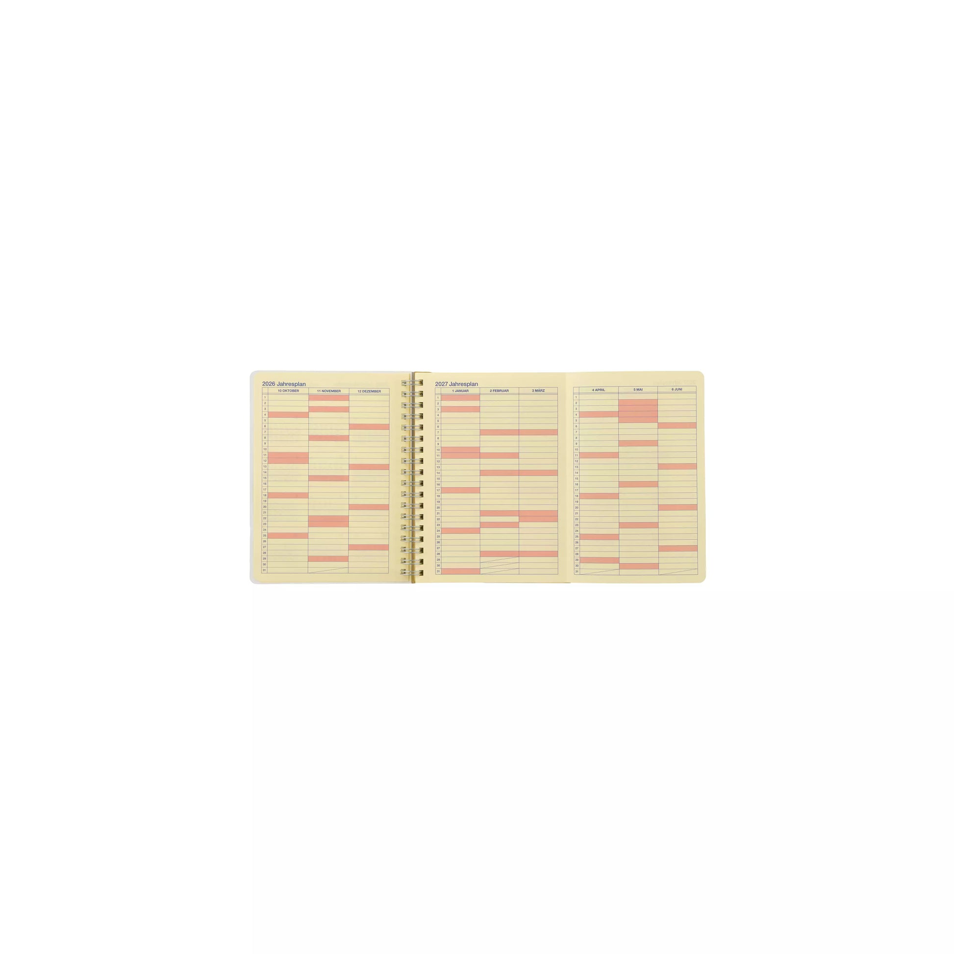 Disney Donald & Friends Rollbahn Diary L Planner 2027 4550586328549