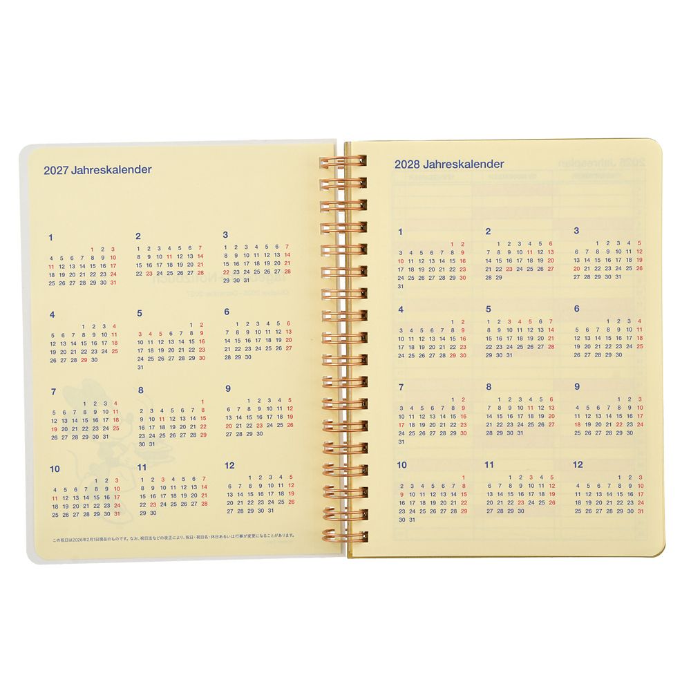 Disney Minnie & Friends Rollbahn Diary L Organizer 2027 4550586328556