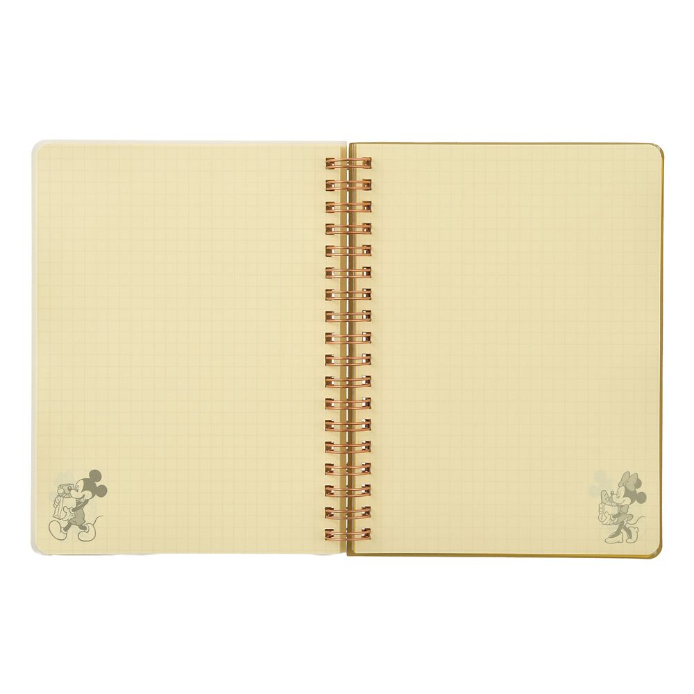 Disney Minnie & Friends Rollbahn Diary L Organizer 2027 4550586328556