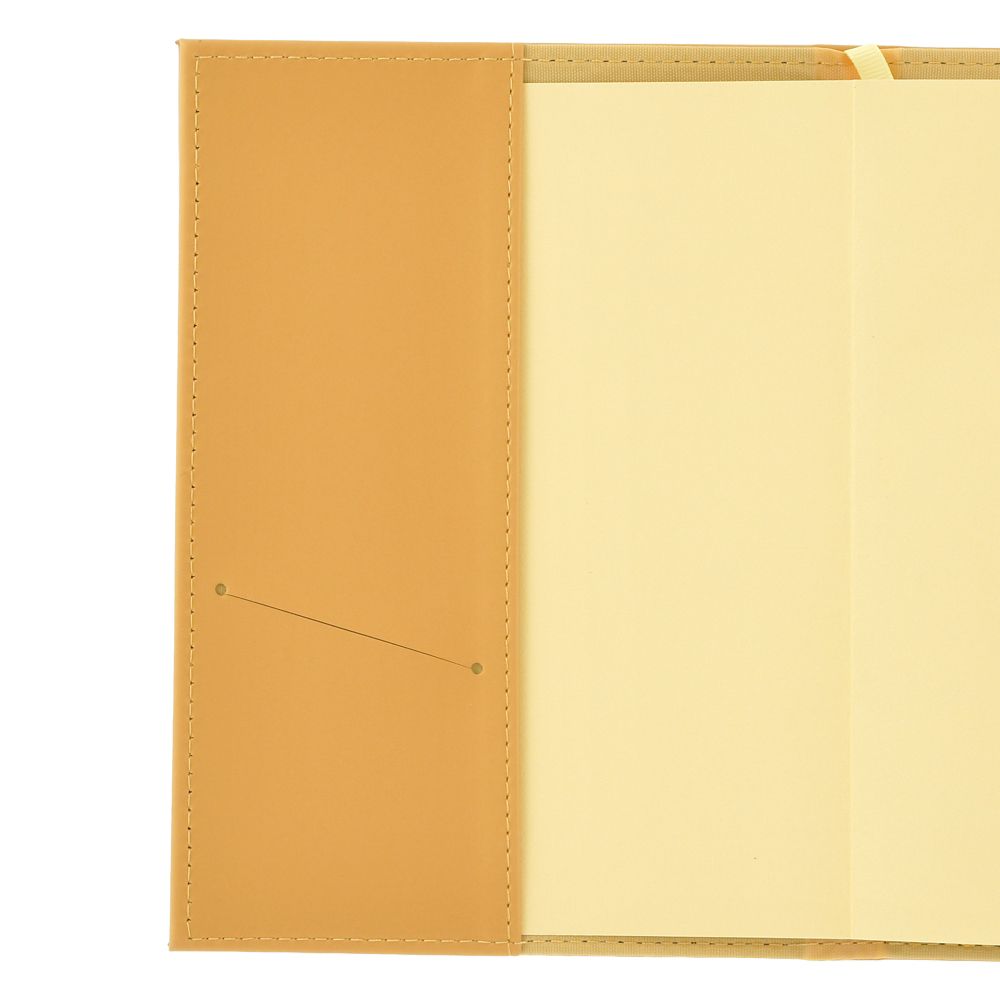 Disney Pooh & Friends Embossed B6 Planner & Organizer 2027 4550586355675