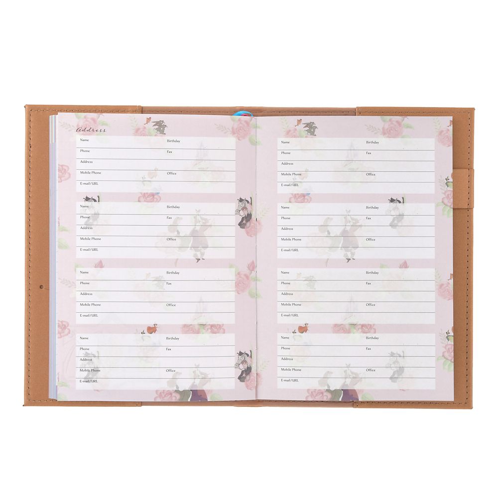 Disney Sleeping Beauty Storybook Embossed B6 Planner 4550586355699