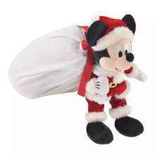 قم بتحميل الصورة في عارض الصور، Blanket with Mickey Plush Toy Set - Disney Store Japan Christmas