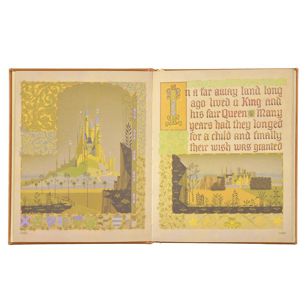 Disney Sleeping Beauty Storybook Notebook 4550586935303