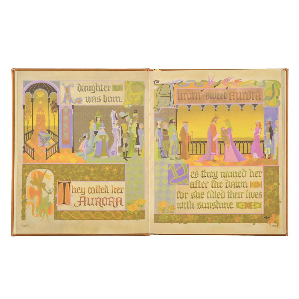 Disney Sleeping Beauty Storybook Notebook 4550586935303