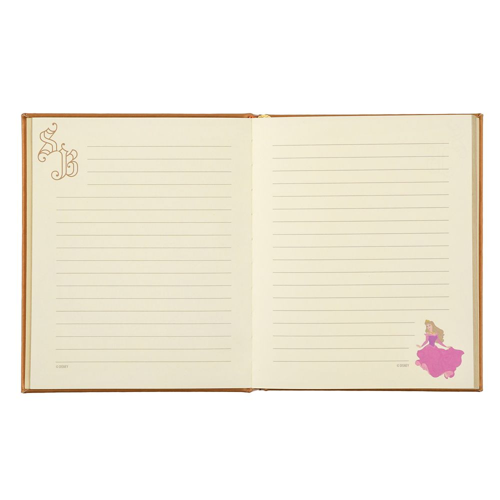 Disney Sleeping Beauty Storybook Notebook 4550586935303