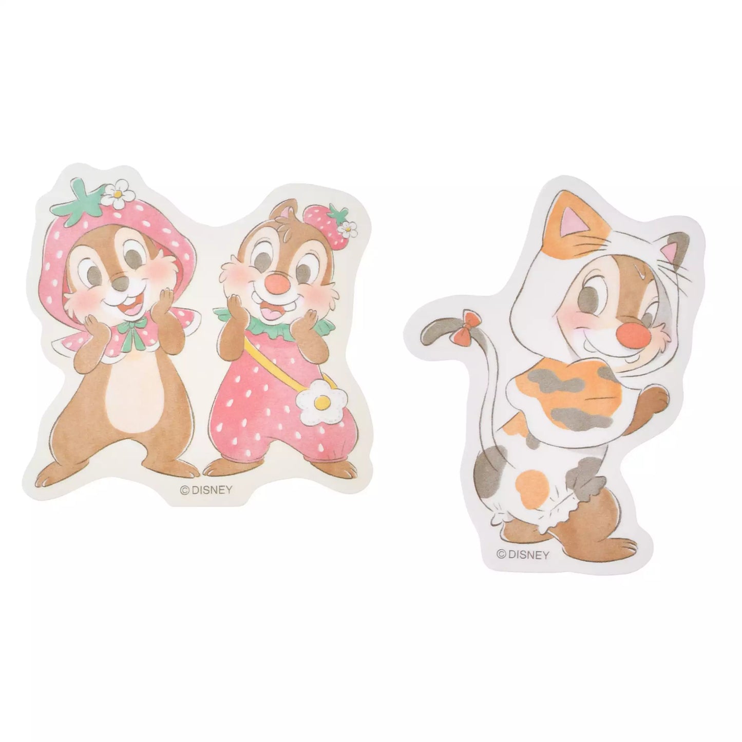 Chip & Dale Stickers Die-cut Costume Sticker Collection -Disney Store Japan