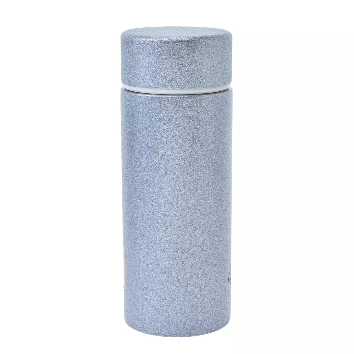 Cinderella & Fairy Stainless Steel Bottle Drinkware - Disney Store Japan