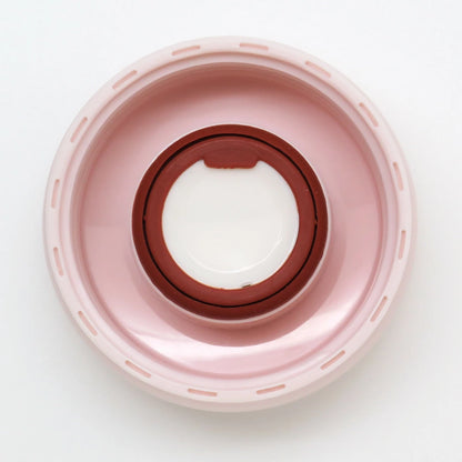 Sailor Moon Direct Stainless Steel Bottle- Sailor Moon Limited