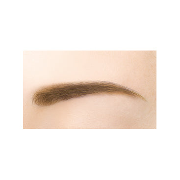 Excel  Powder & Pencil Eyebrow EX (PD02: Camel Brown)