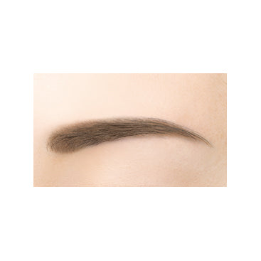 Excel  Powder & Pencil Eyebrow EX (PD05: Grayish Brown)