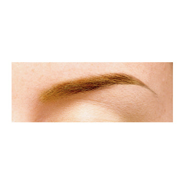 Excel Long Lasting Eyebrows (LT01: Natural Brown)