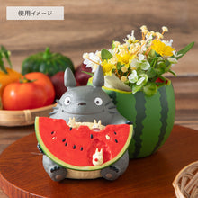 قم بتحميل الصورة في عارض الصور، My Neighbor Totoro Planter Cover: Watermelon Field Edition- Studio Ghibli