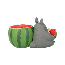 قم بتحميل الصورة في عارض الصور، My Neighbor Totoro Planter Cover: Watermelon Field Edition- Studio Ghibli