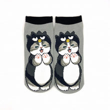 قم بتحميل الصورة في عارض الصور، Mofusand x Sanrio Characters Socks (Size 23~25cm)