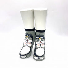 قم بتحميل الصورة في عارض الصور، Mofusand x Sanrio Characters Socks (Size 23~25cm)