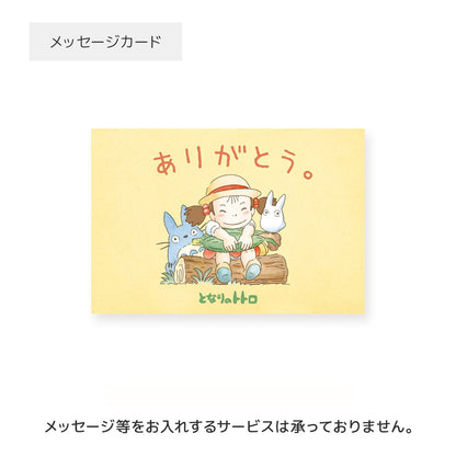My Neighbor Totoro Totoro's Souvenir Gift Set