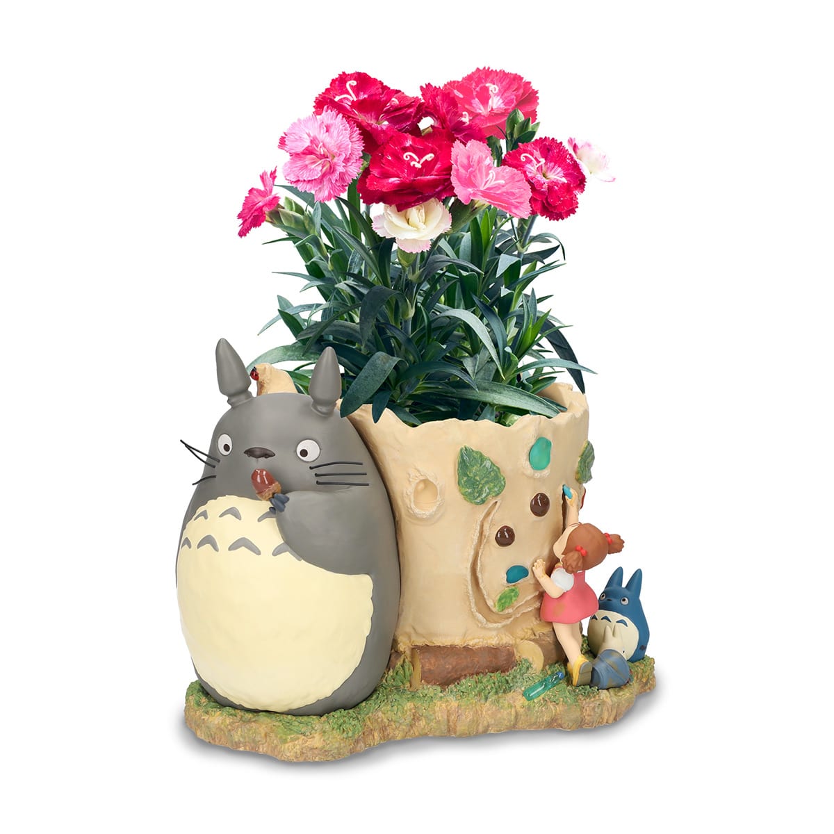 https://www.donguri-sora.com/client_info/DONGURI_SORA/itemimage/55685/55685_1.jpg