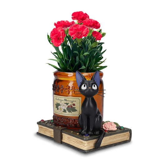 https://www.donguri-sora.com/client_info/DONGURI_SORA/itemimage/55686/55686_1.jpg