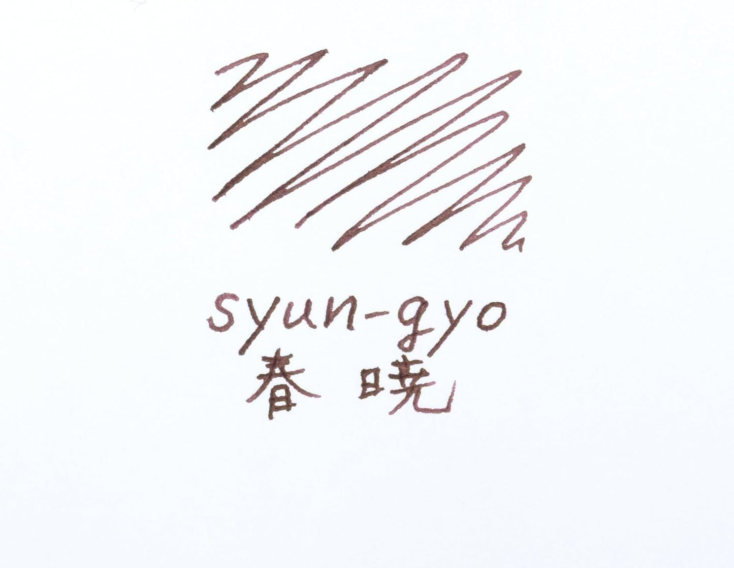 PILOT Iroshizuku Mini Fountain Pen Ink 15ml