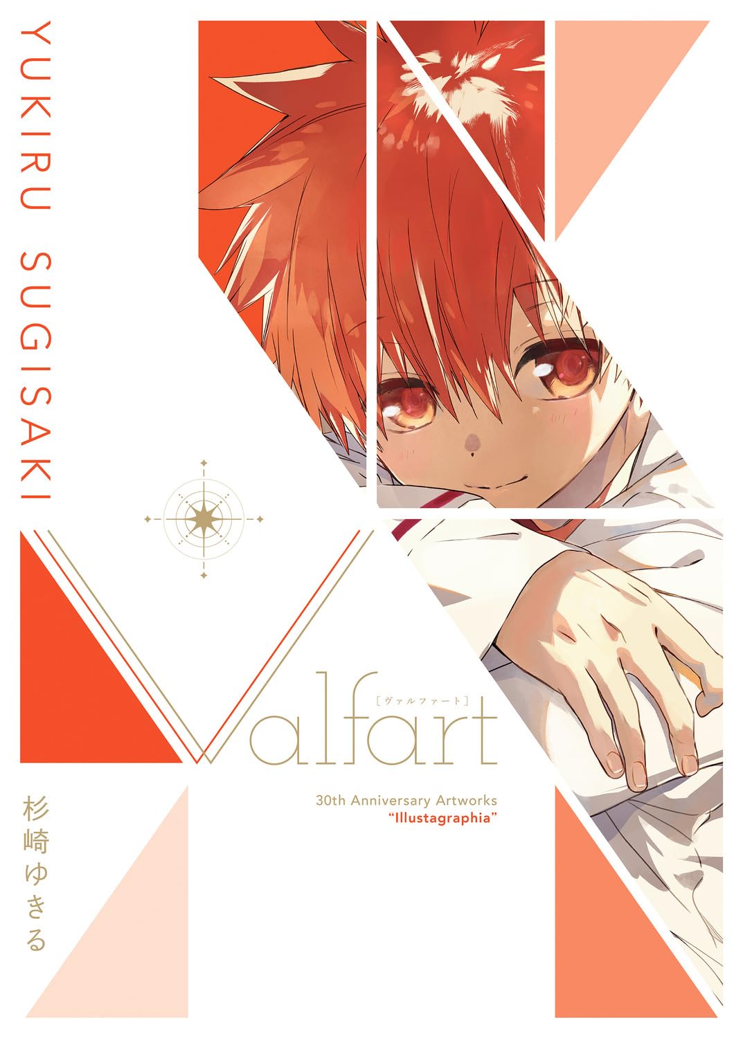 Yukiru Sugisaki 30th Anniversary Artworks Illustagraphia Valfart Art Book