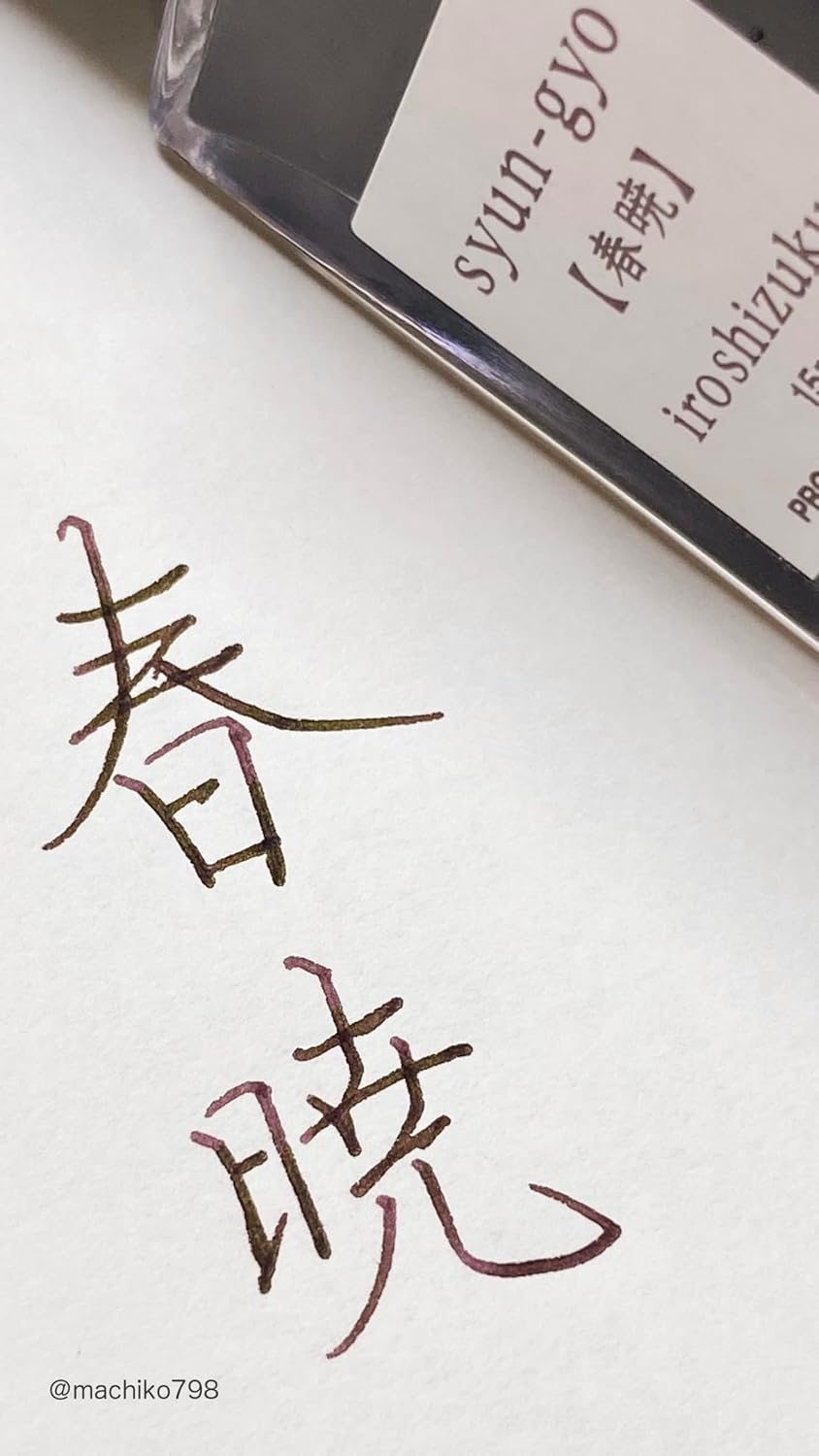 PILOT Iroshizuku Mini Fountain Pen Ink 15ml