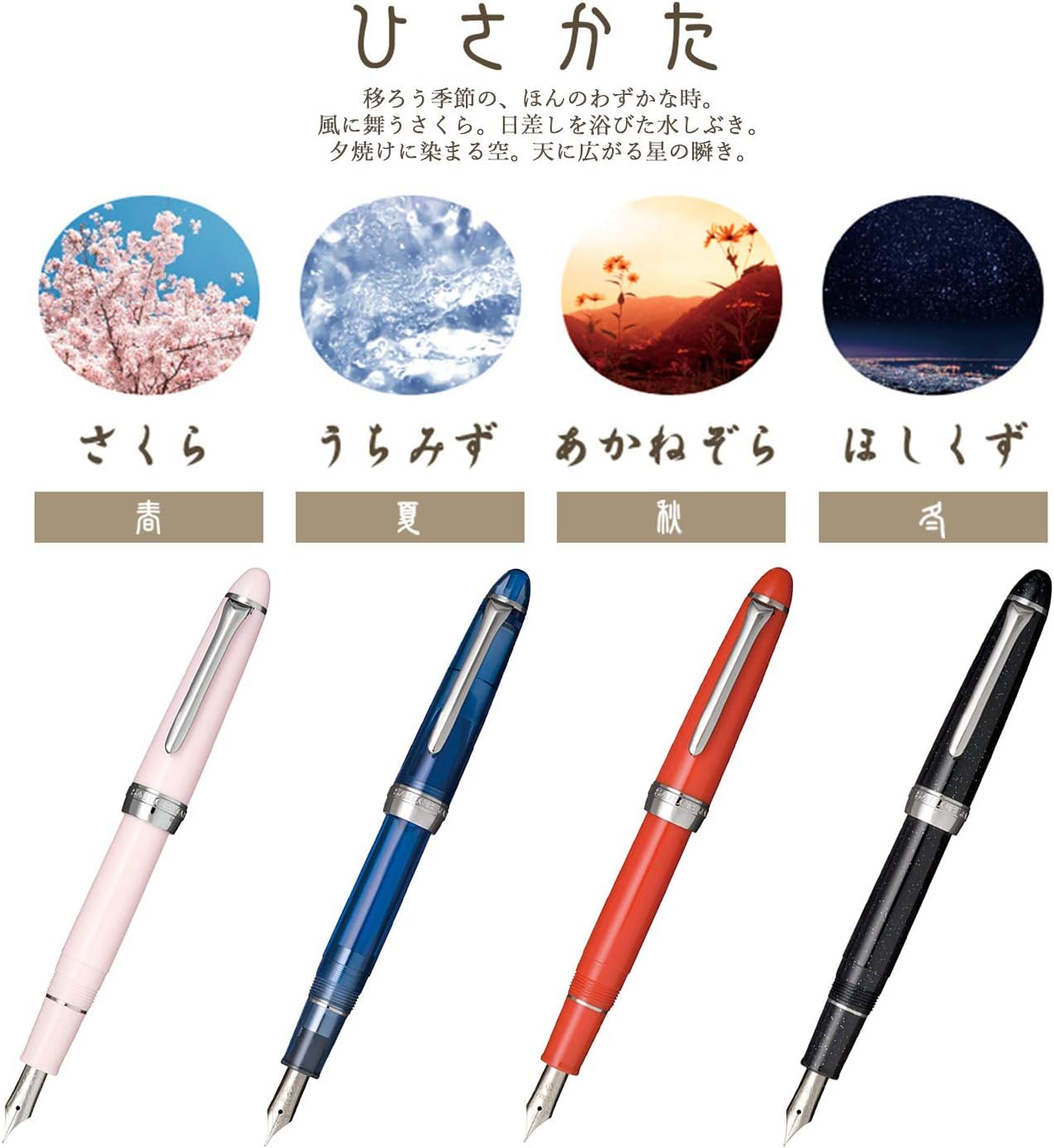 Sailor Four Seasons Woven Hisakata Fountain Pen Fine Nib Hoshikuzu