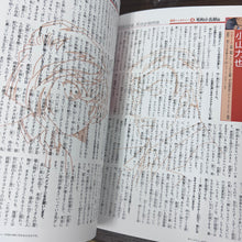 قم بتحميل الصورة في عارض الصور، Detective Conan Character Visual Book Revised Edition (Artwork Collection &amp; Illustration Book) - The Scarlet Bullet &quot;Movie Edition&quot;
