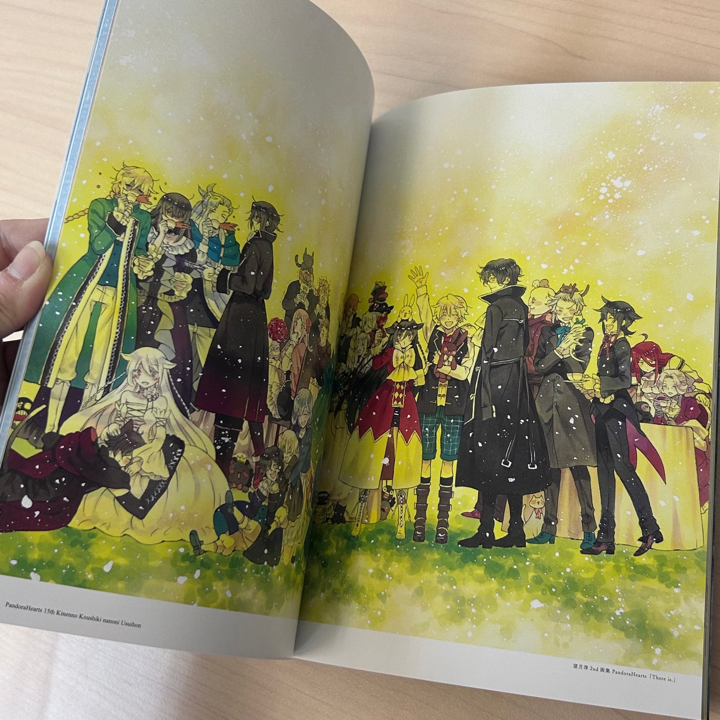 Pandora Hearts 15th Anniversary Art Book