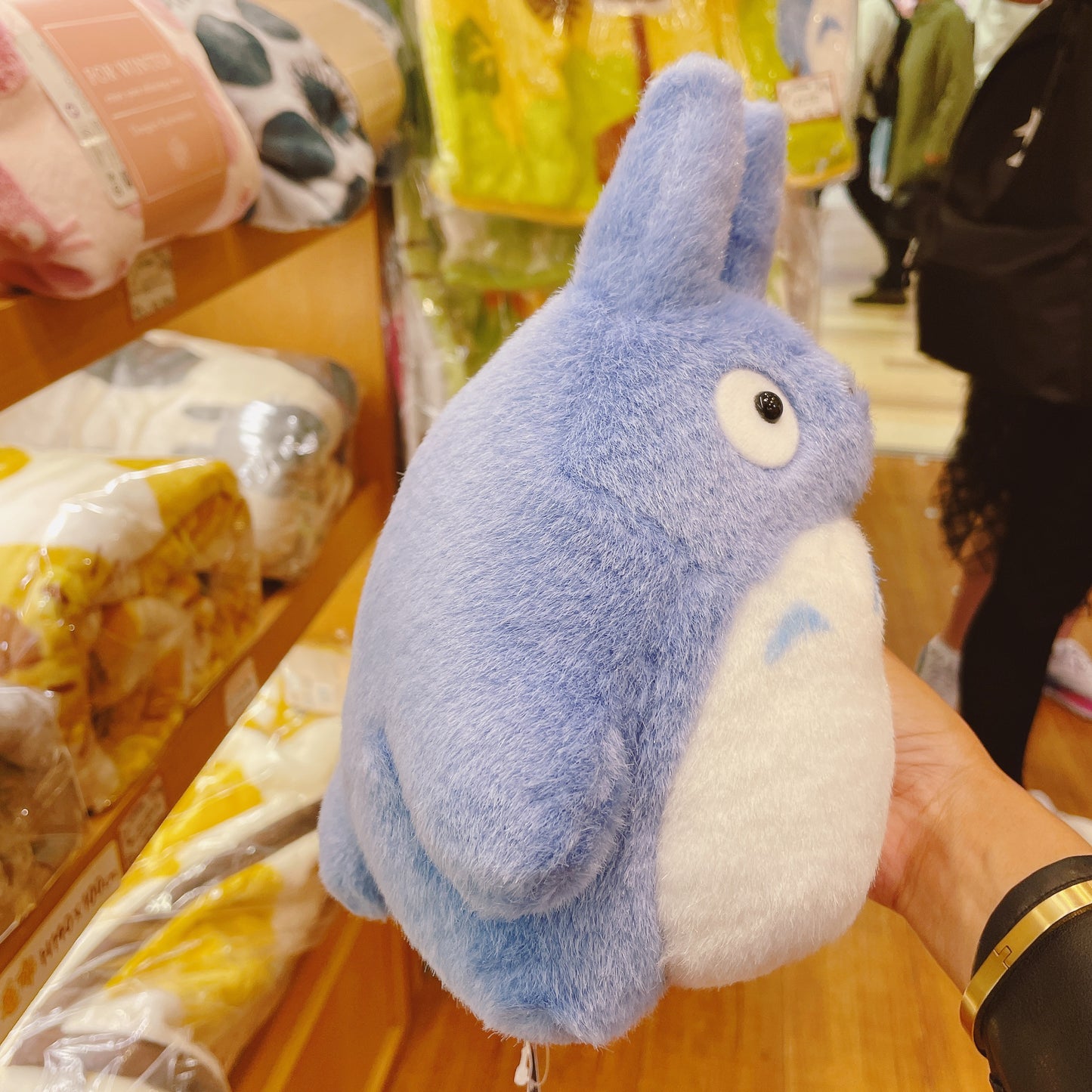 Ghibli Characters Totoro Plushie Toy (Totoro M Size)