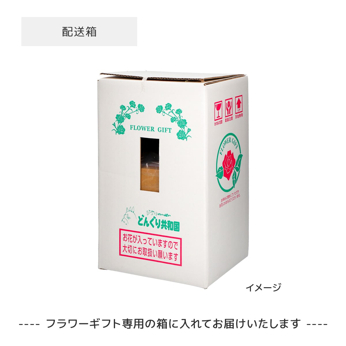 https://www.donguri-sora.com/client_info/DONGURI_SORA/itemimage/55685/cmn_2.jpg