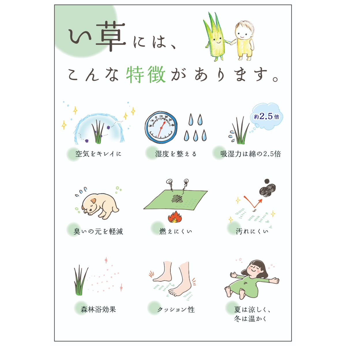 https://www.donguri-sora.com/client_info/DONGURI_SORA/itemimage/05700166/cmn_99.jpg