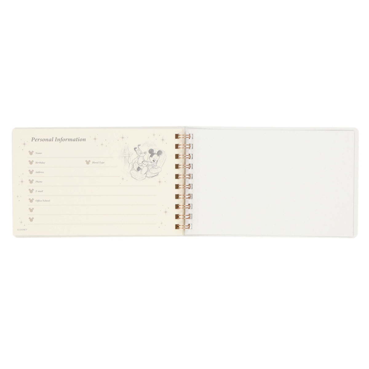 Planner: Mickey Mouse and Friends