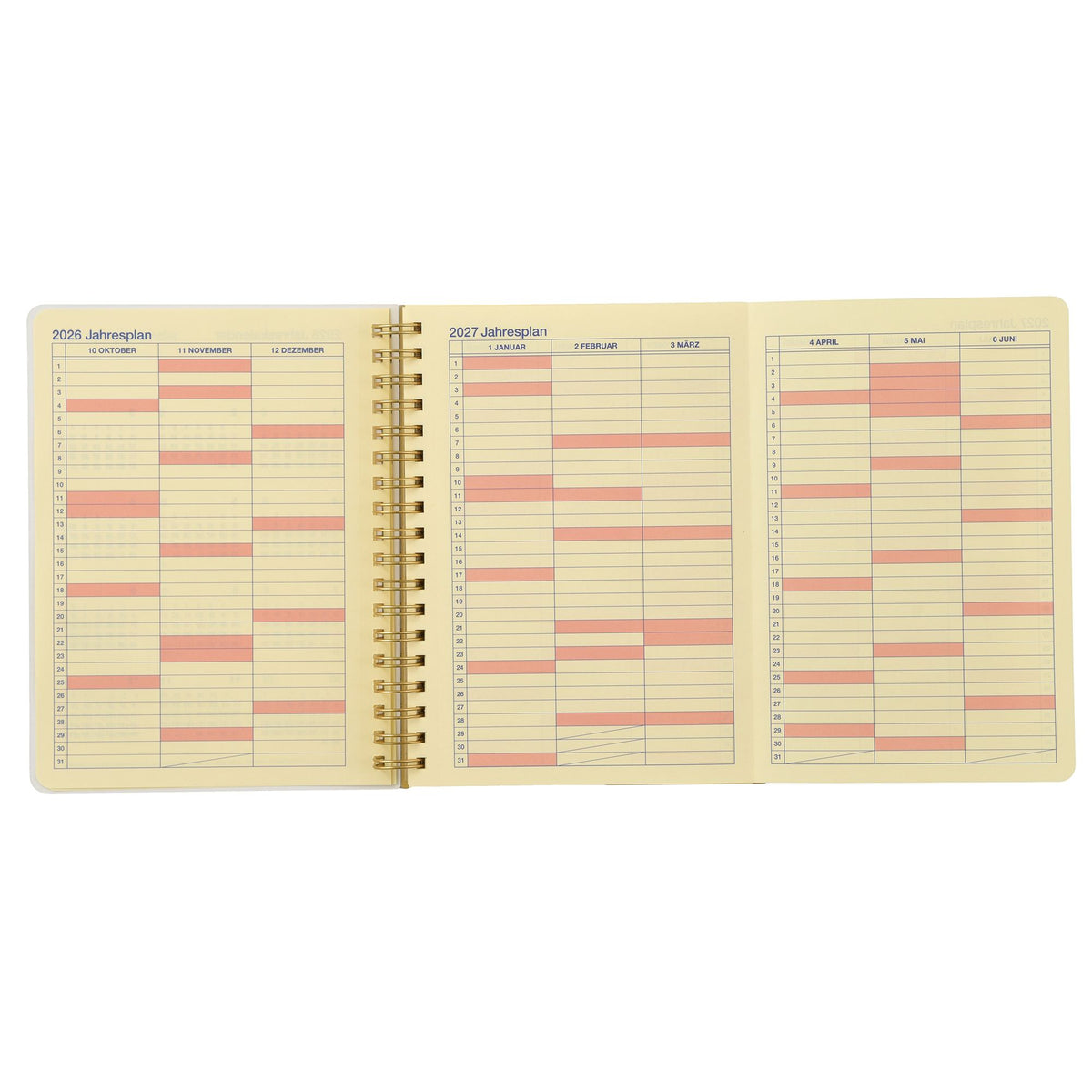 [Delphonix] Pooh & Friends Rollbahn Diary L Planner & Schedule Book CALENDAR & ORGANIZER 2027