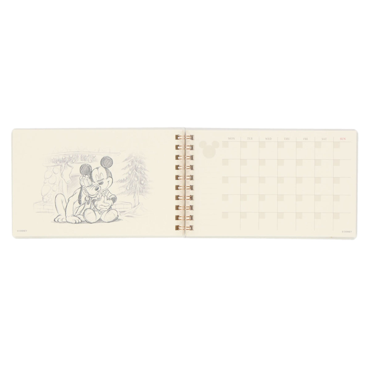 Planner: Mickey Mouse and Friends