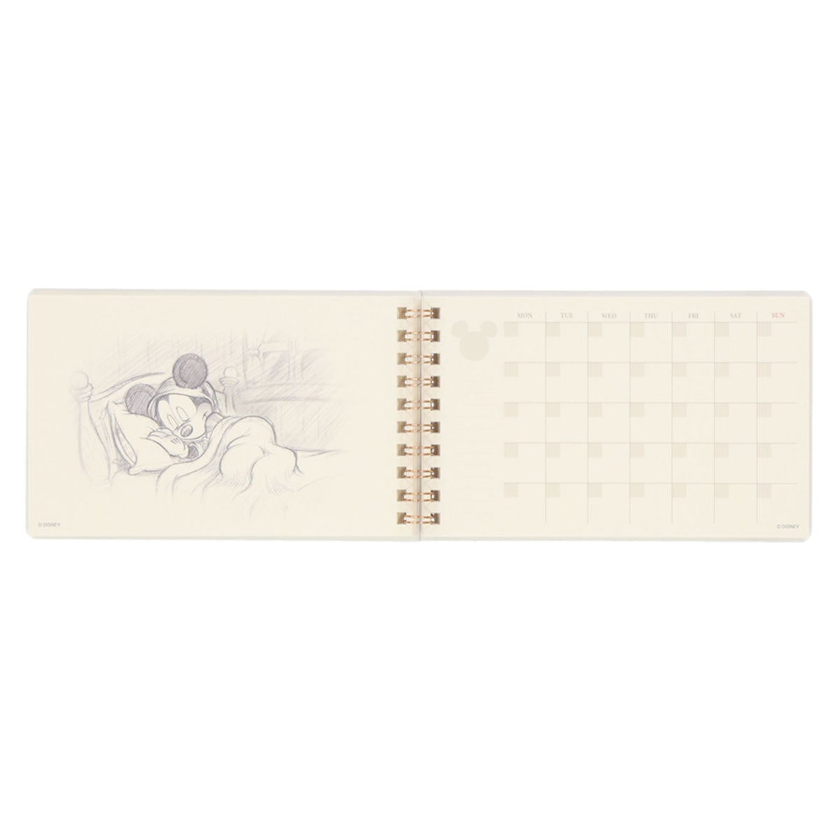 Planner: Mickey Mouse and Friends